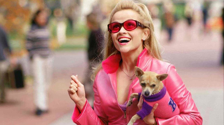Woef: 20 films met een chihuahua (of andere schattige hond)